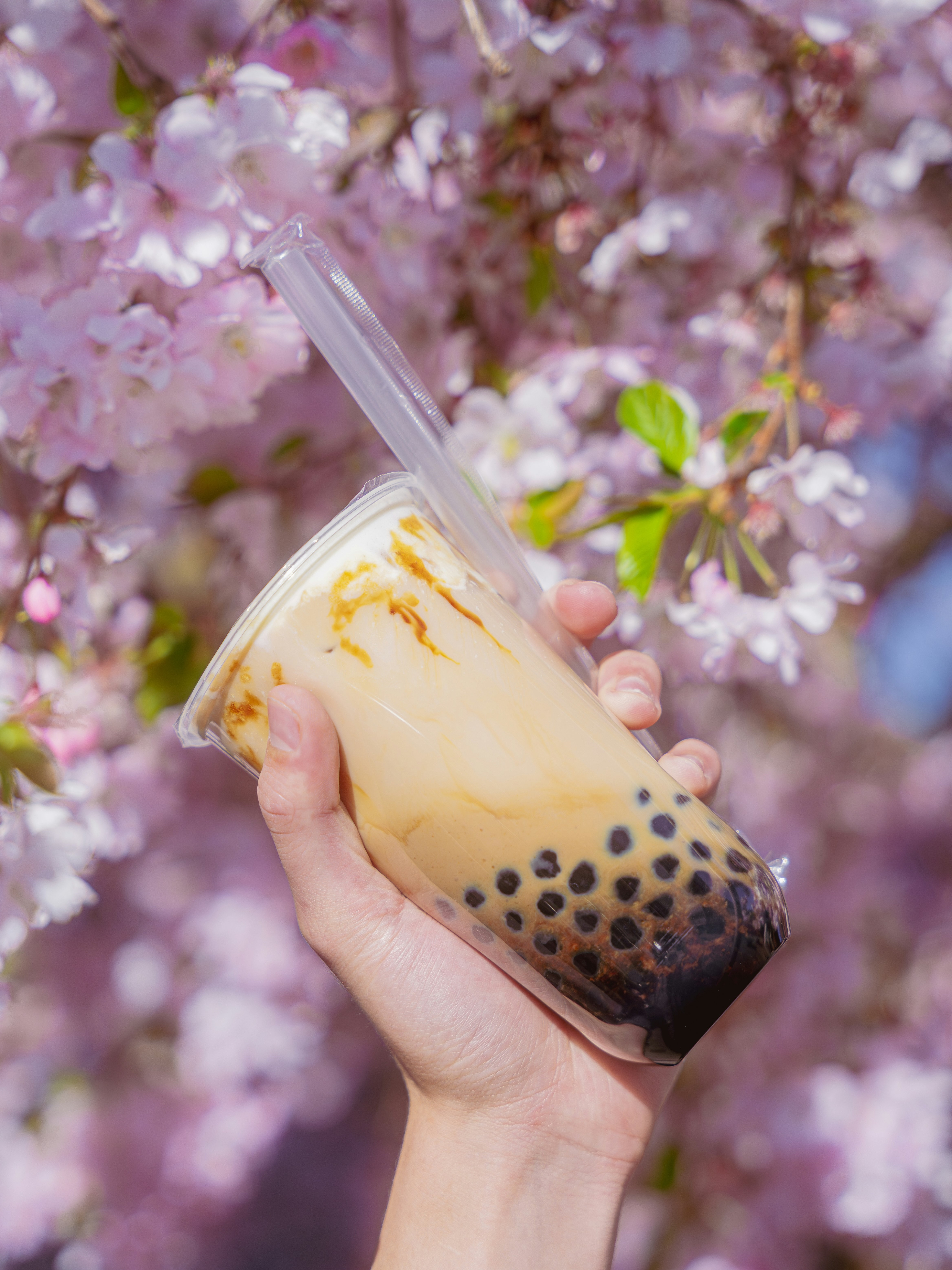 boba picture